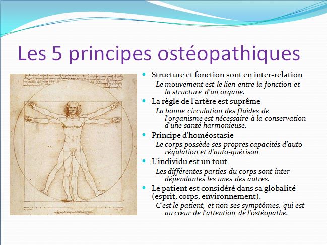 5 principes osteopathiques