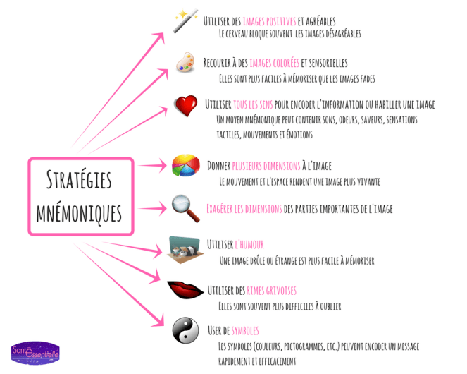 sante-essentielle-strategies-mnémoniques