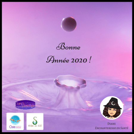 Bonne Année 2020 Oste-eau - Sante Essentielle - Eau de Soi - Diane - Enchanteresse en Sante